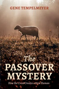 The Passover Mystery_cover