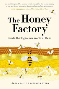 The Honey Factory_cover