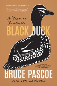 Black Duck_cover