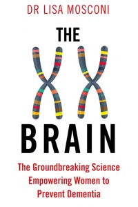 The XX Brain_cover
