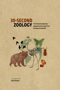 30-Second Zoology_cover