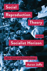 Social Reproduction Theory and the Socialist Horizon_cover