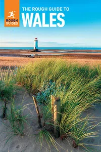 The Rough Guide to Wales_cover