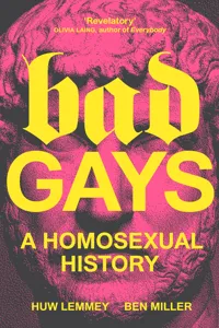 Bad Gays_cover