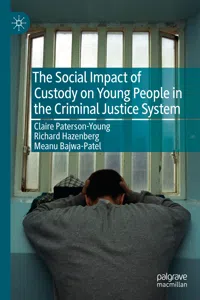 The Social Impact of Custody on Young People in the Criminal Justice System_cover
