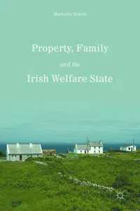 Property, Family and the Irish Welfare State_cover