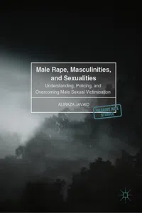 Male Rape, Masculinities, and Sexualities_cover