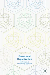Perceptual Organization_cover