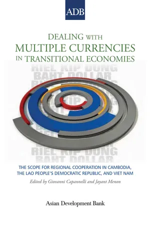 Dealing with Multiple Currencies in Transitional Economies