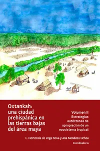 Oxtankah: una ciudad prehispánica en las tierras bajas del área maya_cover