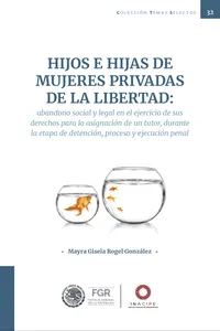 Hijos e hijas de mujeres privadas de la libertad: abandono social y legal en el ejercicio de sus derechos para la asignación de un tutor, durante la etapa de detención, proceso y ejecución penal._cover