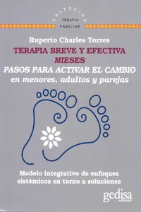 Terapia Breve y efectiva MIESES_cover