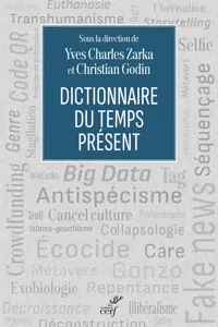 Dictionnaire du temps présent_cover