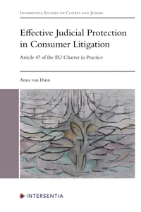Effective Judicial Protection in Consumer Litigation_cover