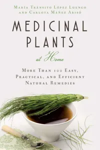 Medicinal Plants at Home_cover