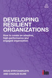 Developing Resilient Organizations_cover