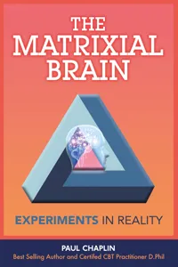 The Matrixial Brain_cover