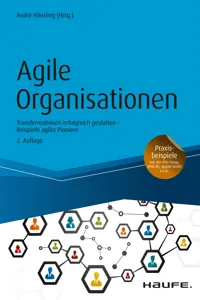 Agile Organisationen_cover