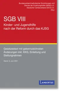 SGB VIII - Kinder- und Jugendhilfe nach der Reform durch das KJSG_cover