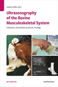 Ultrasonography of the Bovine Musculoskeletal System_cover