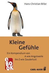 Kleine Gefühle_cover