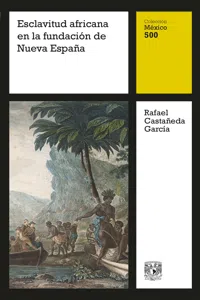 Esclavitud africana en la fundación de Nueva España_cover