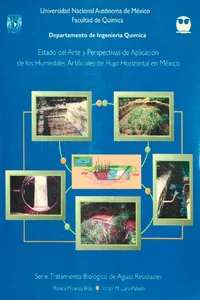 Estado del arte y perspectivas de aplicación de los humedales artificiales de flujo horizontal en México_cover