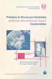 Principios de microscopía electrónica de barrido y microanálisis por rayos X característicos_cover