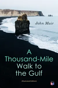 A Thousand-Mile Walk to the Gulf_cover