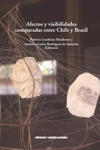 Afectos y visibilidades comparadas entre Chile y Brasil_cover