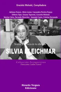 Teoría y clínica en la obra de Silvia Bleichmar_cover