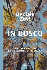 In bosco_cover