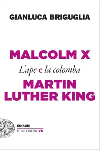 Malcom X e Martin Luther King_cover