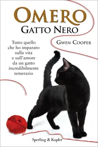 Omero gatto nero_cover