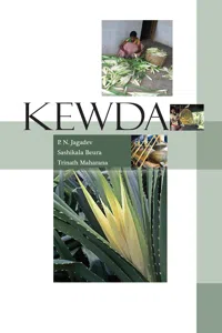 Kewda_cover