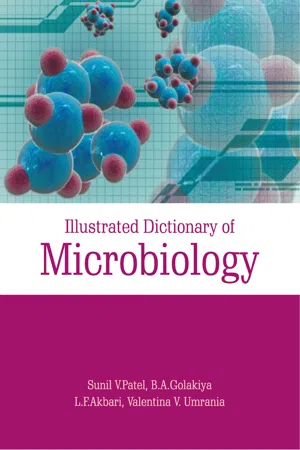 Illustrated Dictionary Of Microbiology