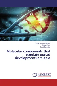 Molecular components that regulate gonad development in tilapia_cover