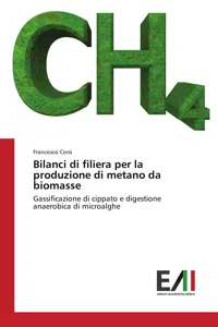 Bilanci di filiera per la produzione di metano da biomasse_cover