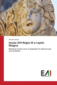 Insula XVI-Regio III a Leptis Magna_cover