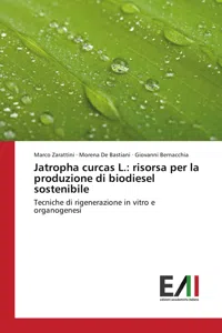 Jatropha curcas L.: risorsa per la produzione di biodiesel sostenibile_cover