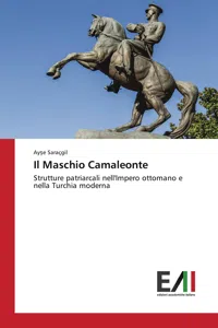 Il Maschio Camaleonte_cover