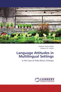 Language Attitudes in Multilingual Settings_cover