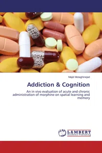 Addiction & Cognition_cover
