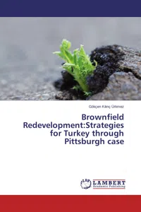 Brownfield Redevelopment:Strategies for Turkey through Pittsburgh case_cover