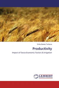 Productivity_cover
