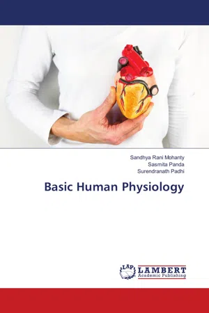 Basic Human Physiology