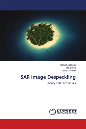 [PDF] SAR Image Despeckling by Prabhishek Singh eBook | Perlego