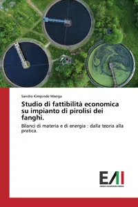 Studio di fattibilità economica su impianto di pirolisi dei fanghi._cover