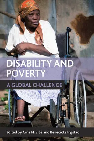 Disability and Poverty : A Global Challenge