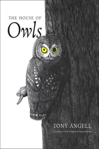 The House of Owls_cover